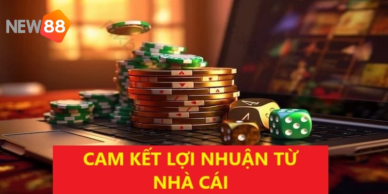 Thu nhập không giới hạn là cam kết NEW88 dành cho các đại lý