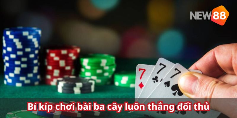 Tuyệt chiêu chơi bài cào chỉ có thắng