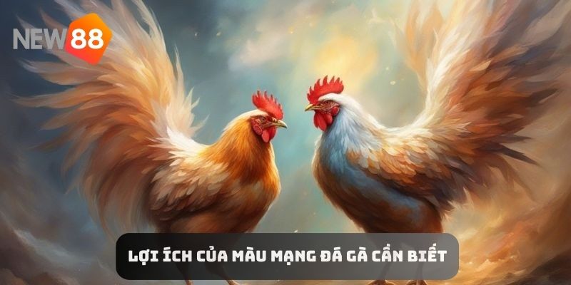 Lợi ích của màu mạng đá gà cần biết