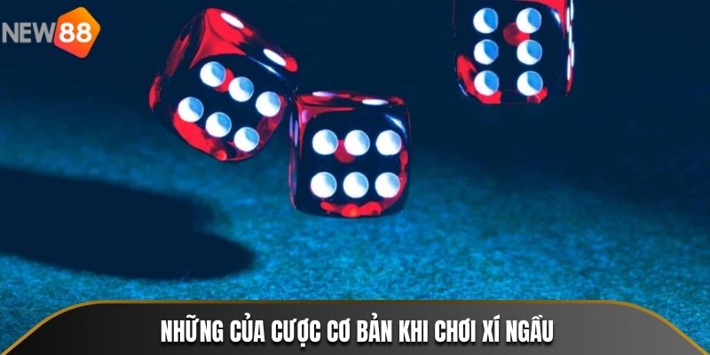 Những của cược cơ bản khi chơi Xí Ngầu