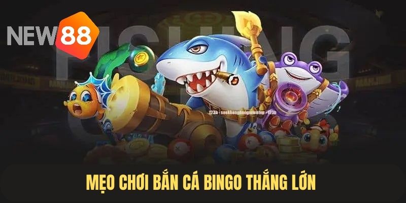 Chiến thuật chinh phục săn cá bingo chắc thắng