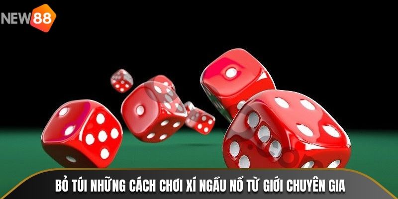 Bỏ túi những cách chơi Xí Ngầu Nổ từ giới chuyên gia