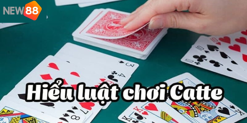 Cách chơi bài Catte rất đơn giản, chỉ cần tìm ra người có tồn là được