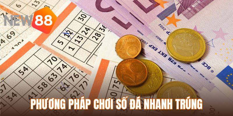 Lựa chọn cách chơi số đá hiệu quả để thử vận may